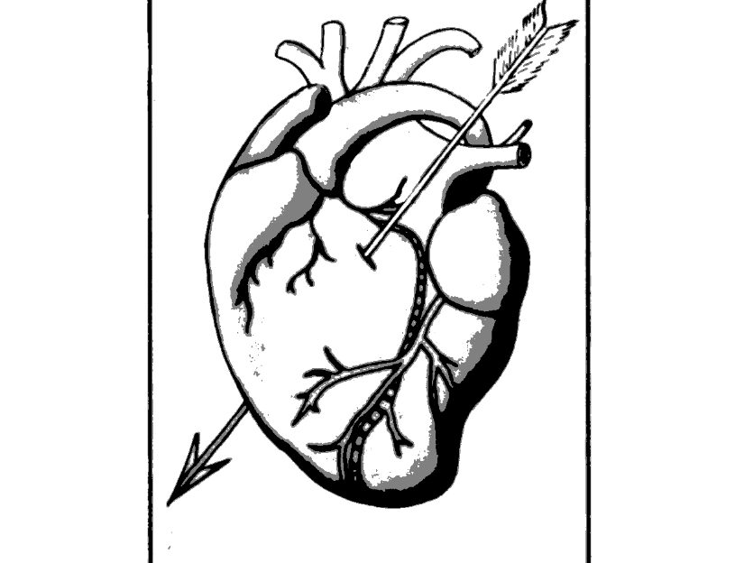 Bypass for Beginners