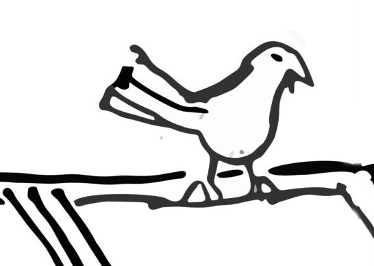 For the Birds