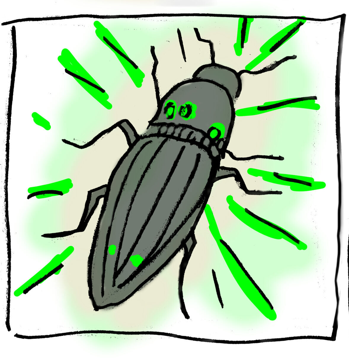 Cucuyo